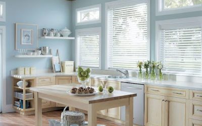 Enhancing Commercial Spaces: Effective Utilization of Shutters and Blinds