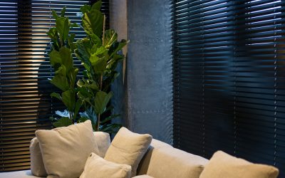 Blinds vs shutters : Choosing the Right Option for Your Space