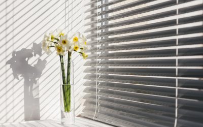 How to Measure for Window Shutters: Everything You Need to Know Before You Order