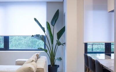 How to Pick Window Treatments for a Florida Room: A Full Guide