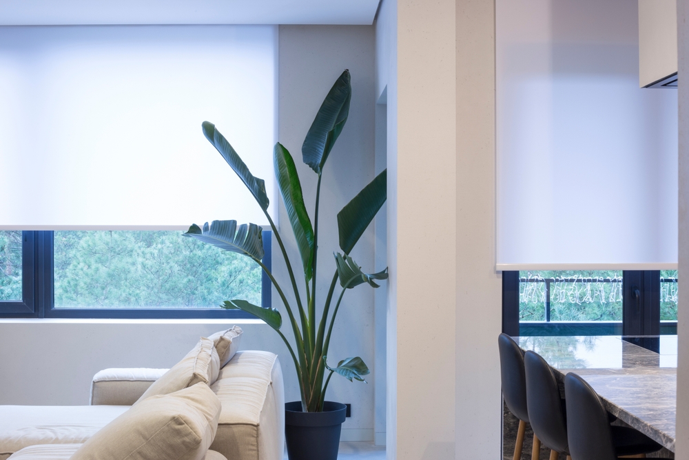 how to pick window treatments